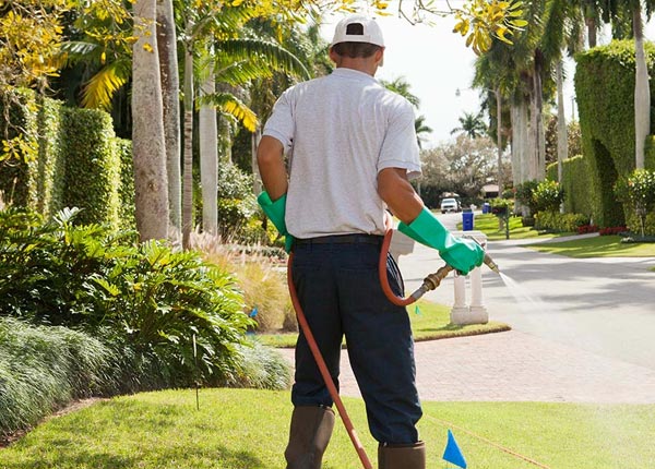 About Albany KY Pest Control